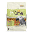 inTune Parrot