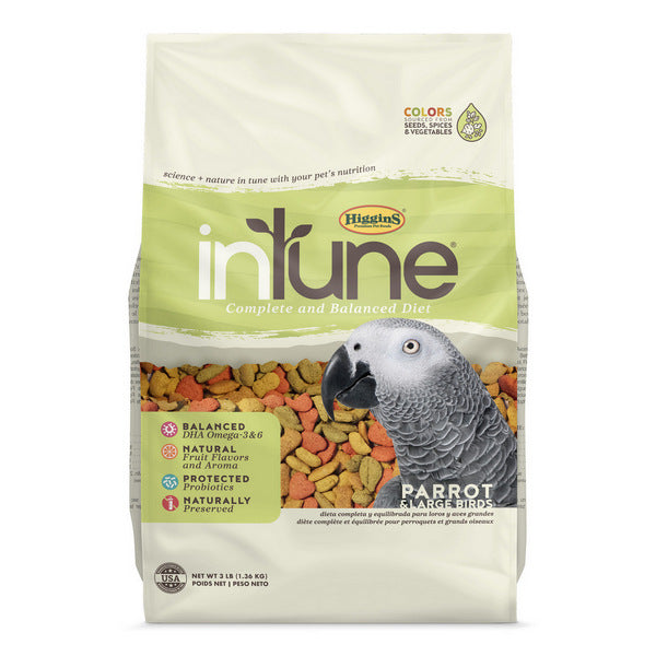 inTune Parrot