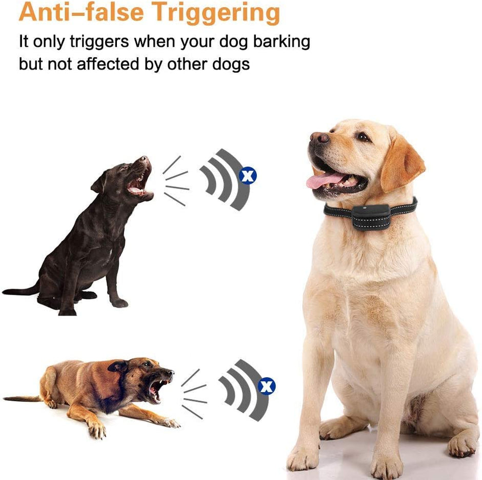Anti Bark Spray Collar AntiBark Training Spray Collar Safe Citronella refill included