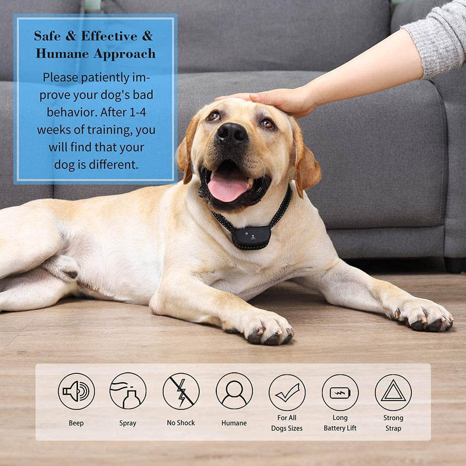 Anti Bark Spray Collar AntiBark Training Spray Collar Safe Citronella refill included