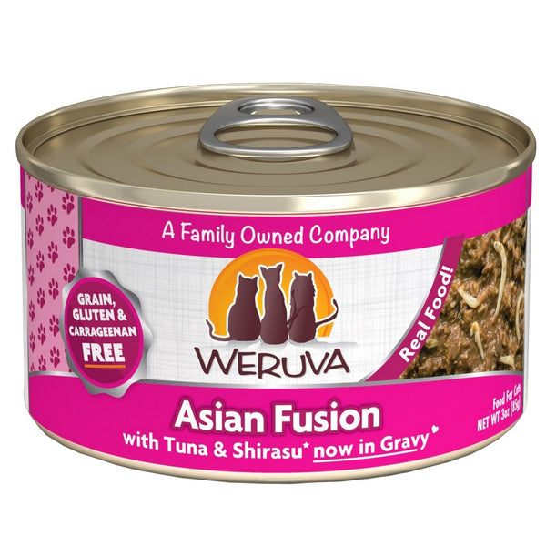 Asian Fusion - Canned - Cat