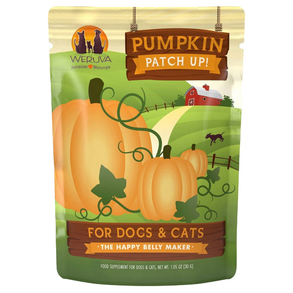 Pumpkin Patch Up