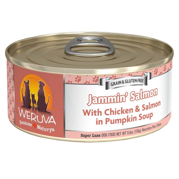 Jammin Salmon - Canned - Dog