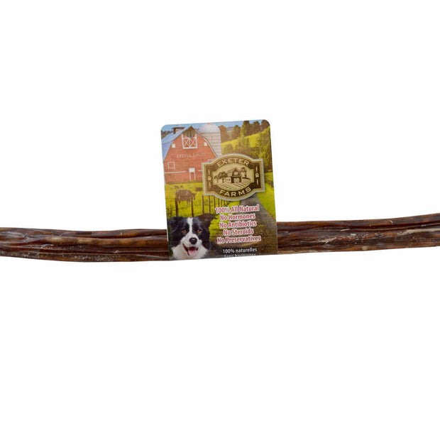 Esophagus Stick