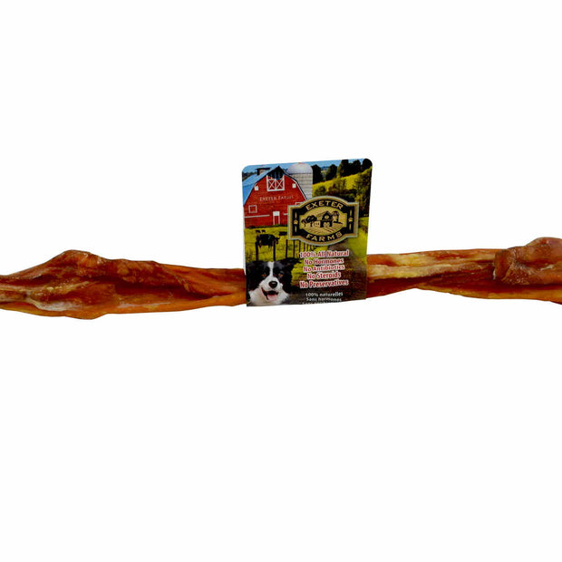 Dental Chew - Bladder