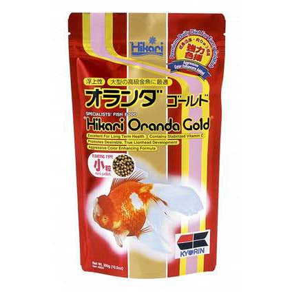 Goldfish - Oranda Gold