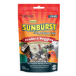 Sunburst Treat - Large Hookbill - Fruit & Veggie