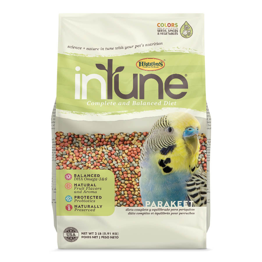 inTune Parakeet