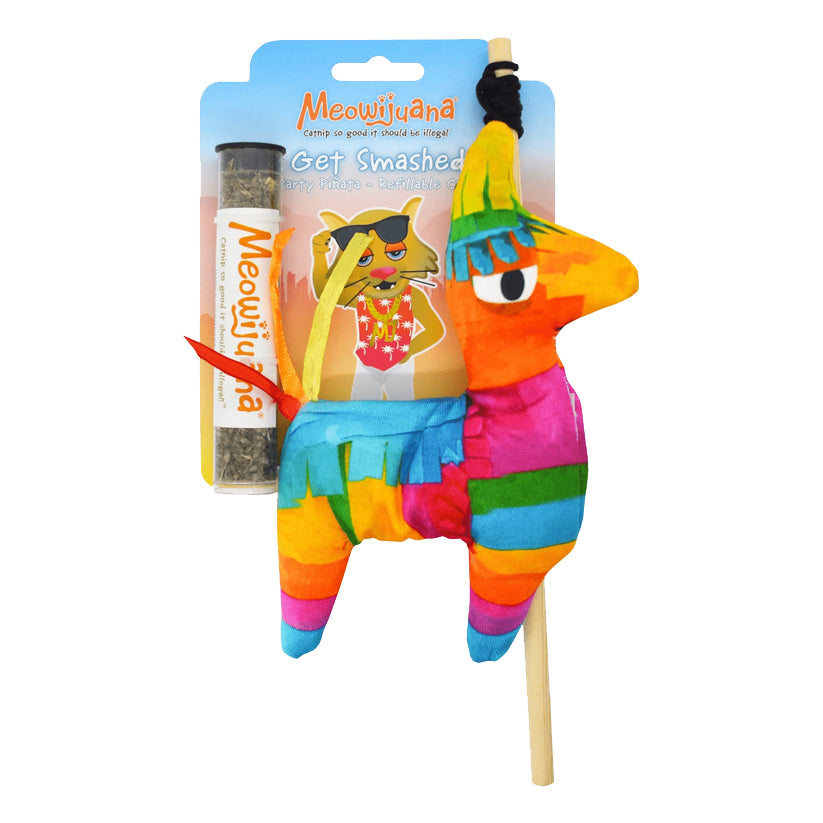 Get Smashed Pinata with Wand