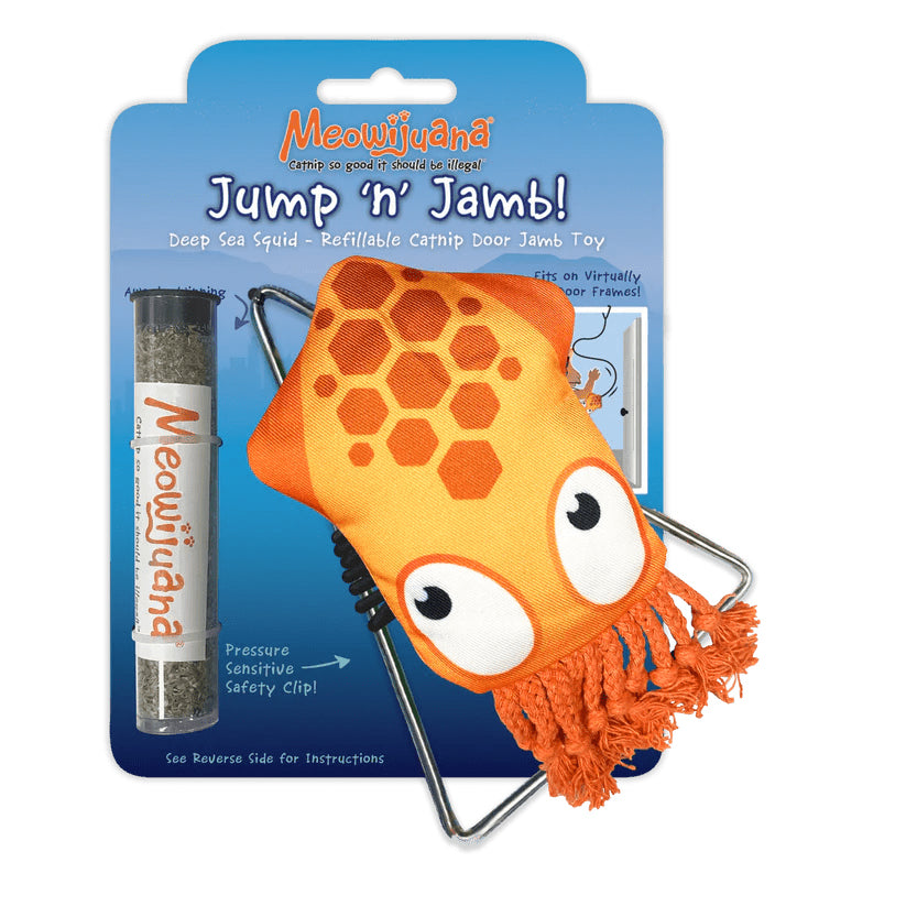 Door Jump n Jamb Squid
