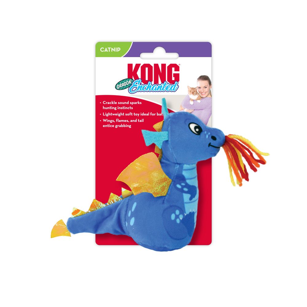 Enchanted Dragon
