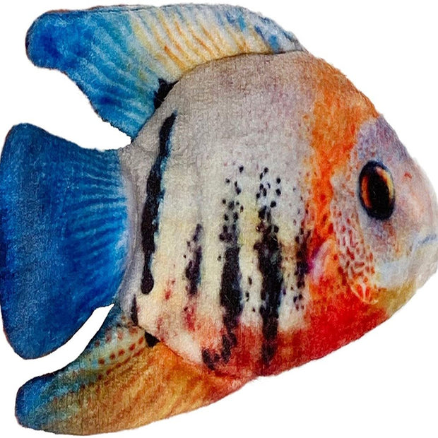 Kittybelles Plush Angelfish