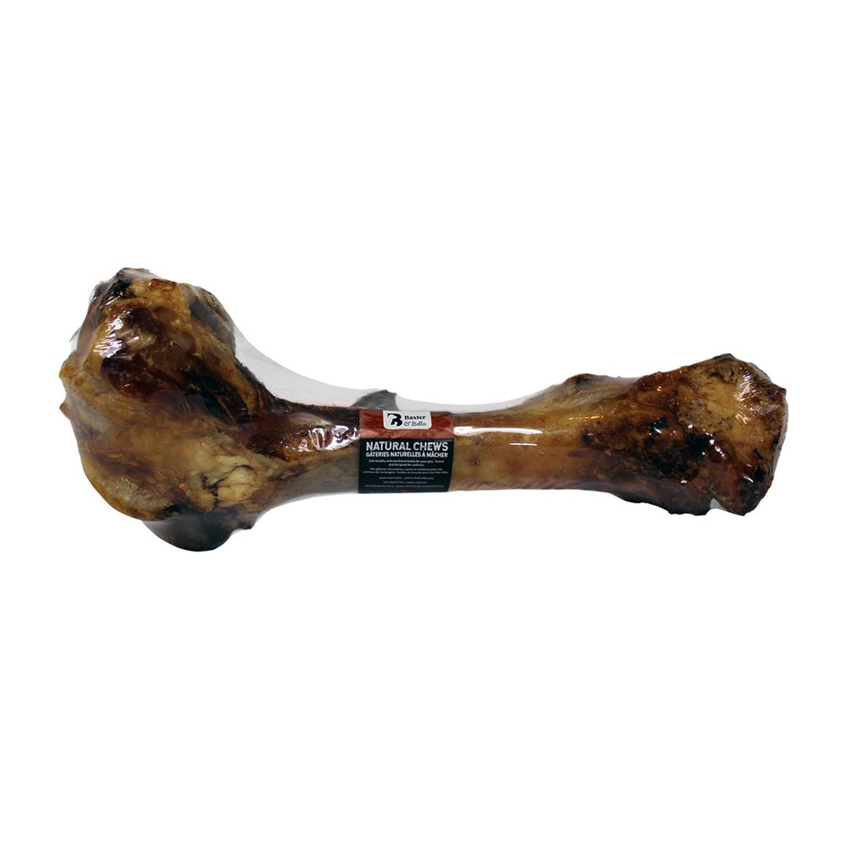 Baxter & Bella Dino Bone