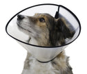 Elizabethan Collar