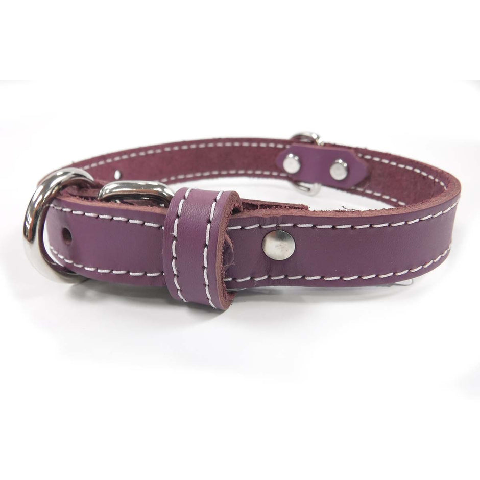 Collar - Single Leather - Purple
