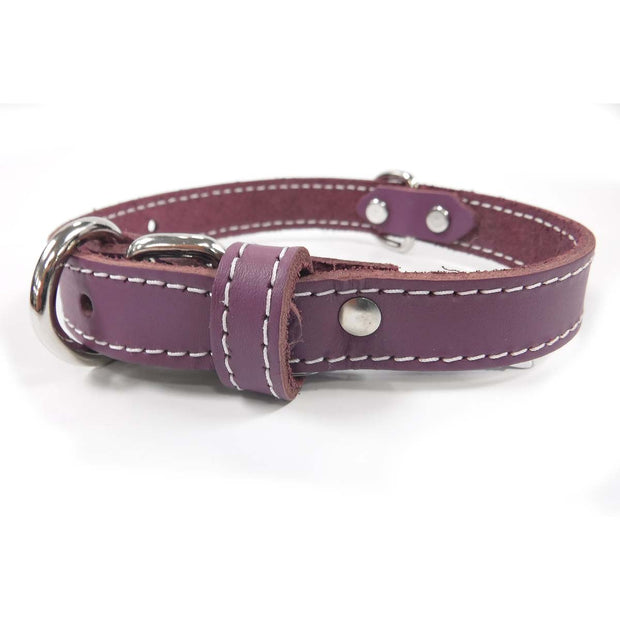 Collar - Single Leather - Purple