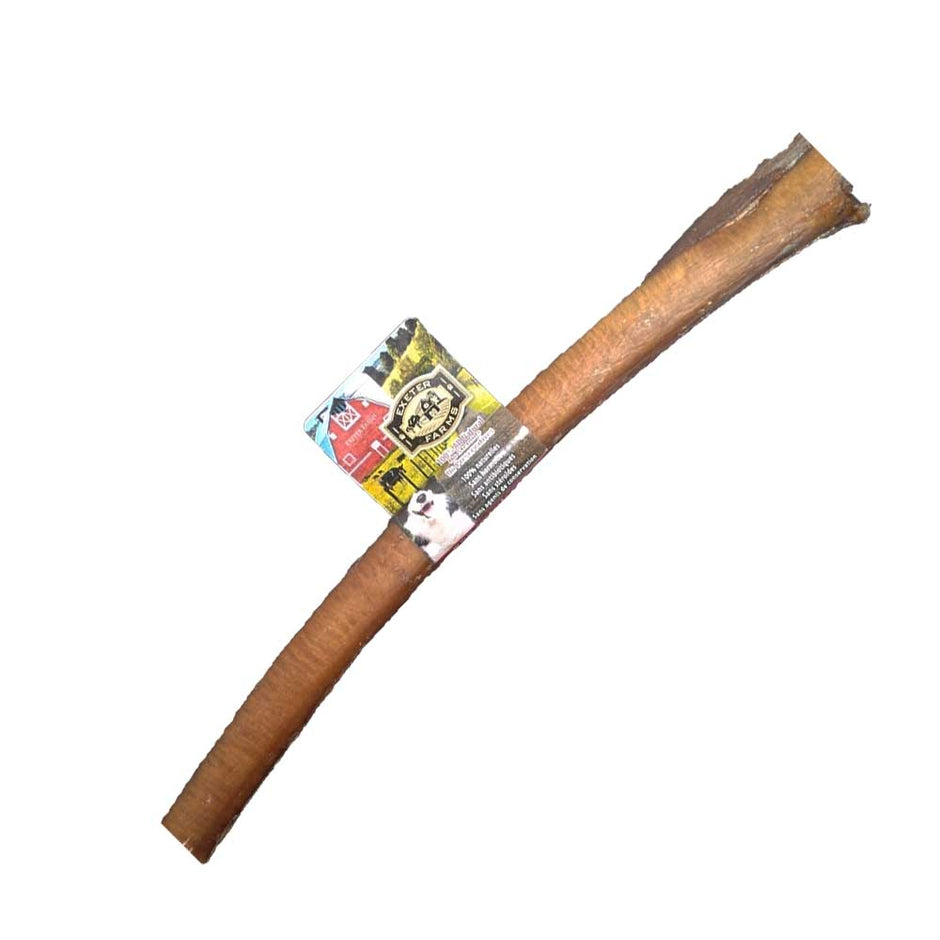 Bully Stick - Thick - Exeter