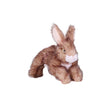 Naturals - Rabbit