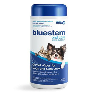 Bluestem Oral Care - Dental Wipes