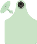 Maxi Tag - Tamperproof Complete