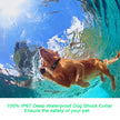 Dog Training Collar, Dog Shock Collar with Remote 2500FT Shock Collar for Dogs IPX7 Waterproof Rechargeable w/Beep 99 Levels Vibrate Shock Modes Shock Collar for Small Dogs Medium Large Dogs