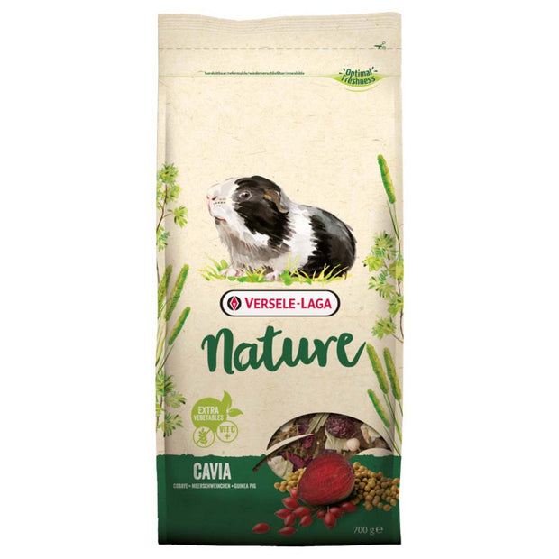 Nature Cavia Guinea Pig